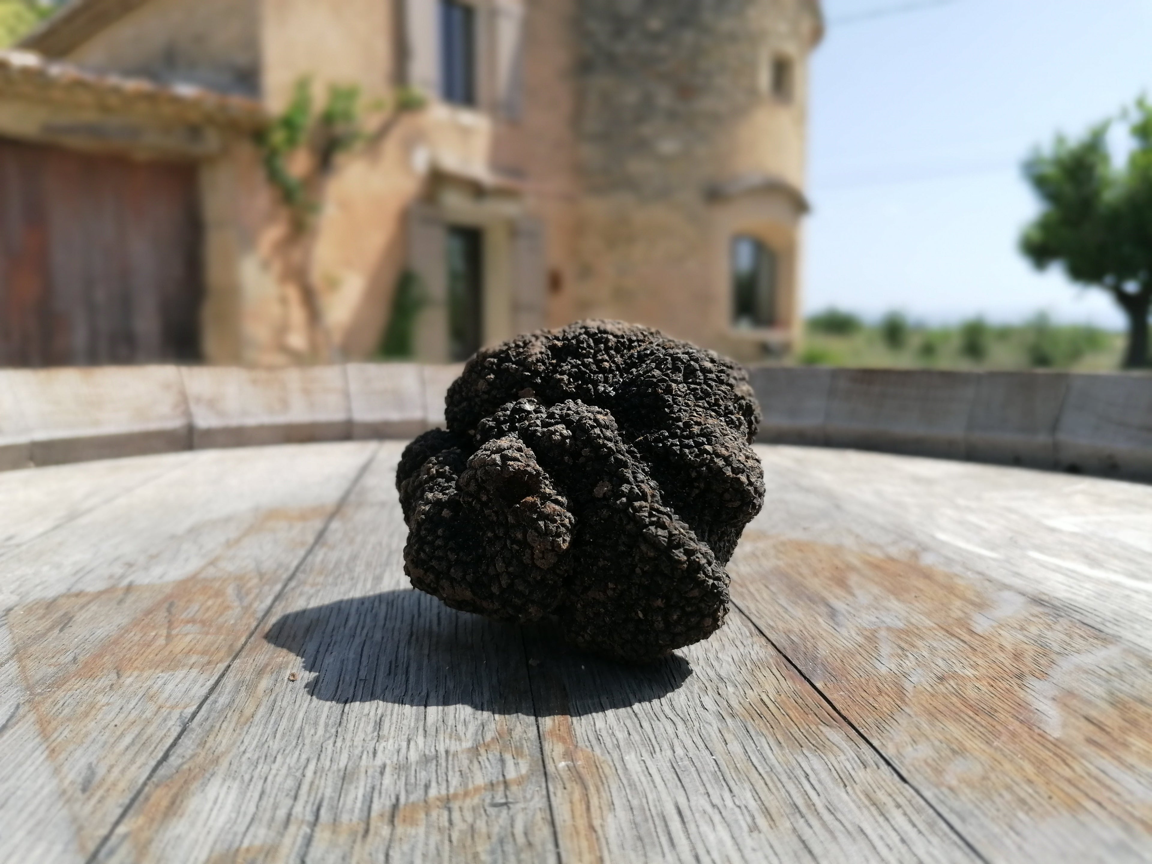 La différence entre 1% et 10% de truffe ?